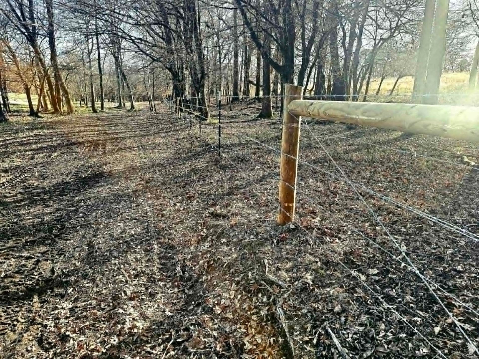 Barb Wire 1920w