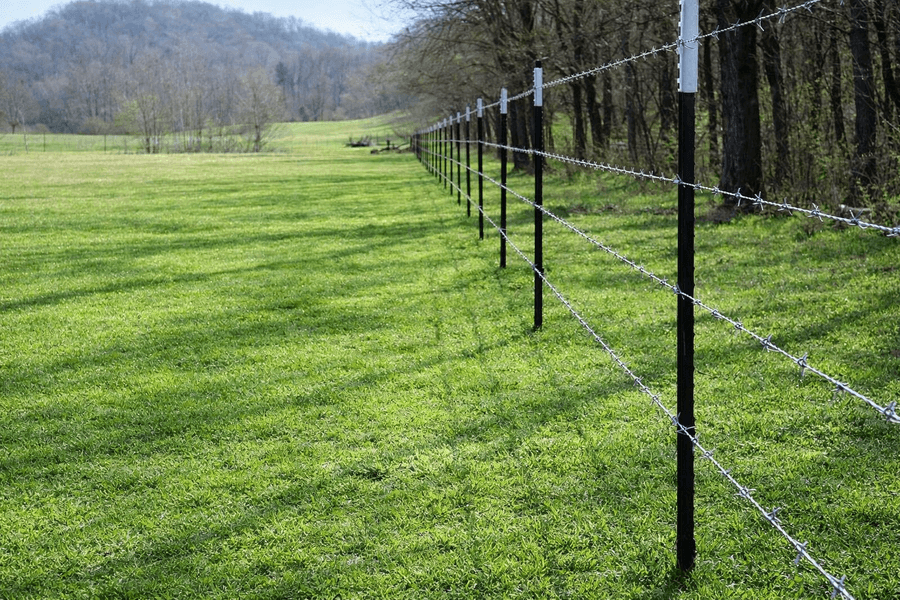 Barbed Wire Fence